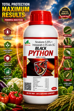 Black Python