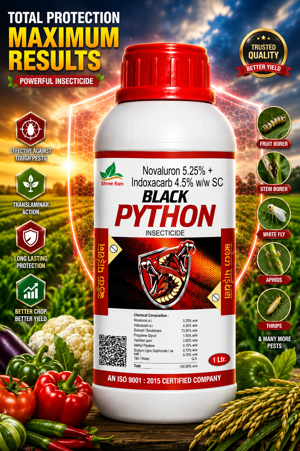 Black Python