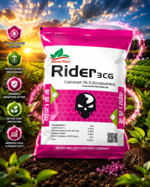 Rider 3CG