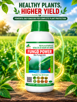 FUNGO POWER
