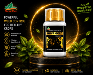 Nove Gold
